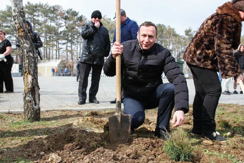 Высадка в севастополе. Высадка деревьев акция. Поклонная гора аллея памяти. Сад памяти.