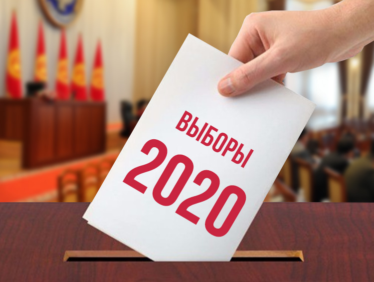 ЛДПР подводит итоги единого дня голосования 2020