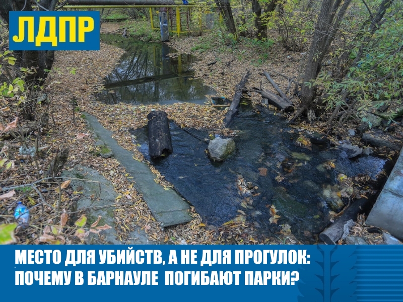 МЕСТО ДЛЯ УБИЙСТВ, А НЕ ДЛЯ ПРОГУЛОК: ПОЧЕМУ В БАРНАУЛЕ ПОГИБАЮТ ПАРКИ?