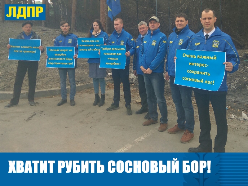 ЛДПР НАПОМНИЛА ВЛАСТИ ПРО РЕЛИКТОВЫЙ БОР