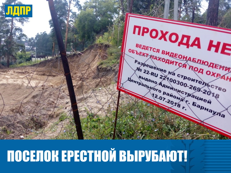 БАРНАУЛЬЦЫ ПОЖАЛОВАЛИСЬ НА НЕЗАКОННЫЕ РУБКИ СОСЕН В ПОСЕЛКЕ ЕРЕСТНОЙ
