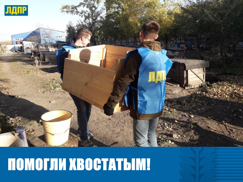 В БАРНАУЛЕ ПРОДОЛЖАЕТСЯ АКЦИЯ ЛДПР "ХВОСТИК, ЖИВИ!"