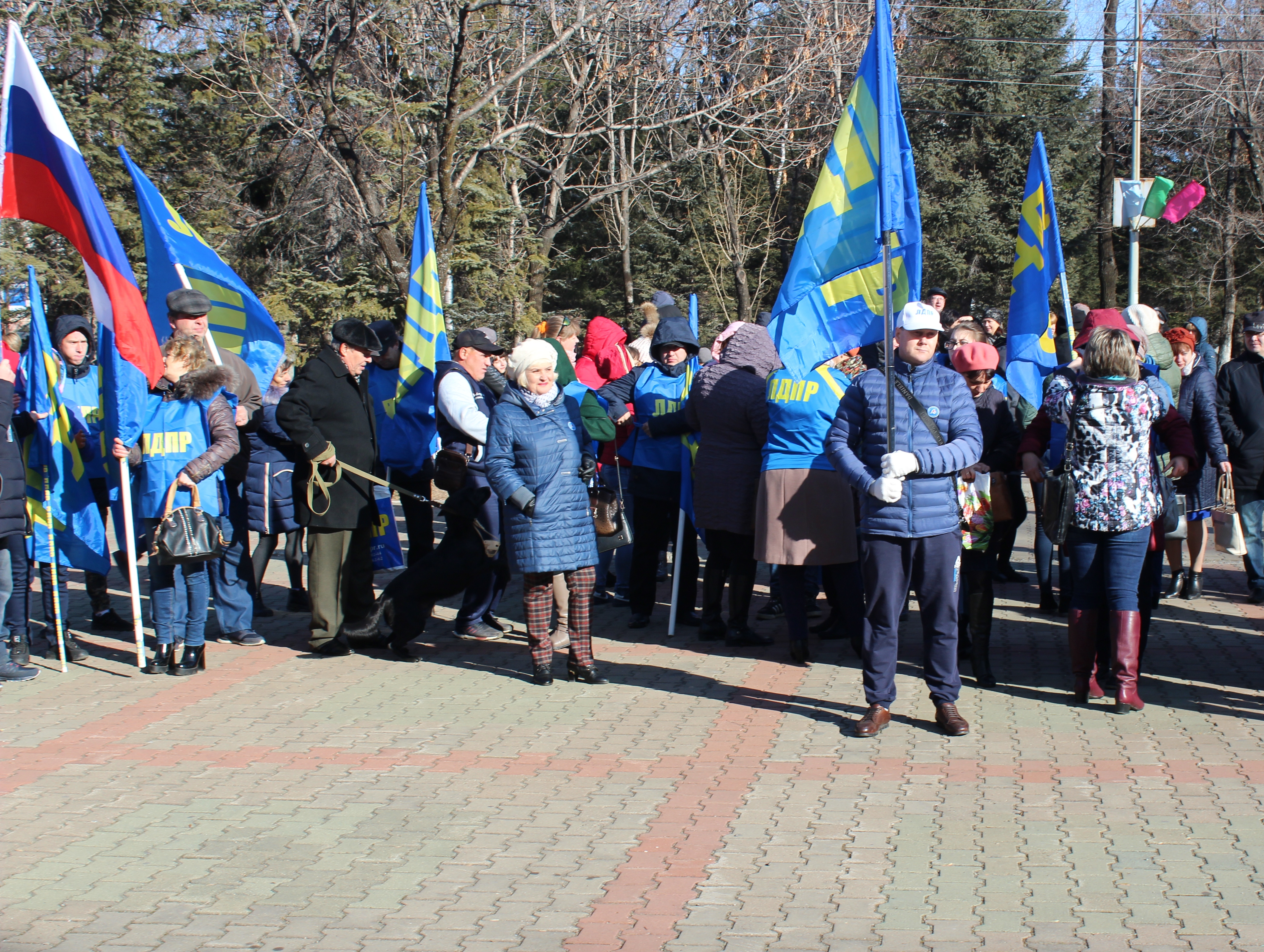 Аппарат РО ЛДПР в ЕАО принял участие в митинге