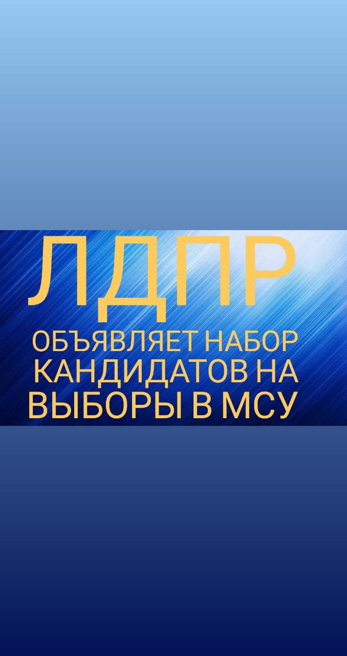 Выборы в МСУ