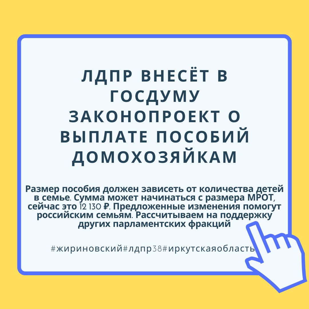 ЛДПР ВНЕСЁТ В ГОСДУМУ ЗАКОНОПРОЕКТ О ВЫПЛАТЕ ПОСОБИЙ ДОМОХОЗЯЙКАМ