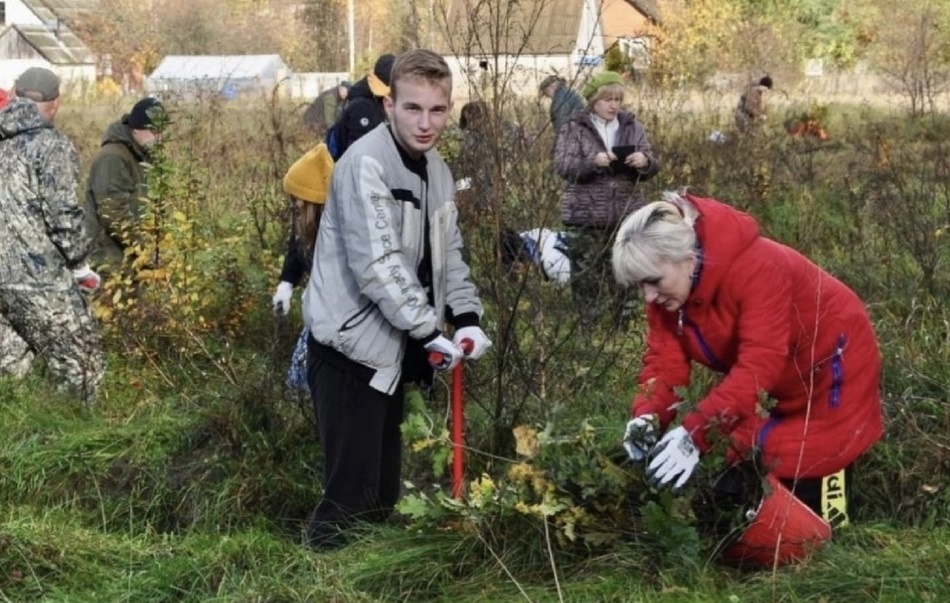 Смоленское лесничество филиал огку смолупрлес. Калининградское лесное хозяйство. Славское лесничество калининградская область. Калининградское лесное хозяйство. Калининградское лесное хозяйство.