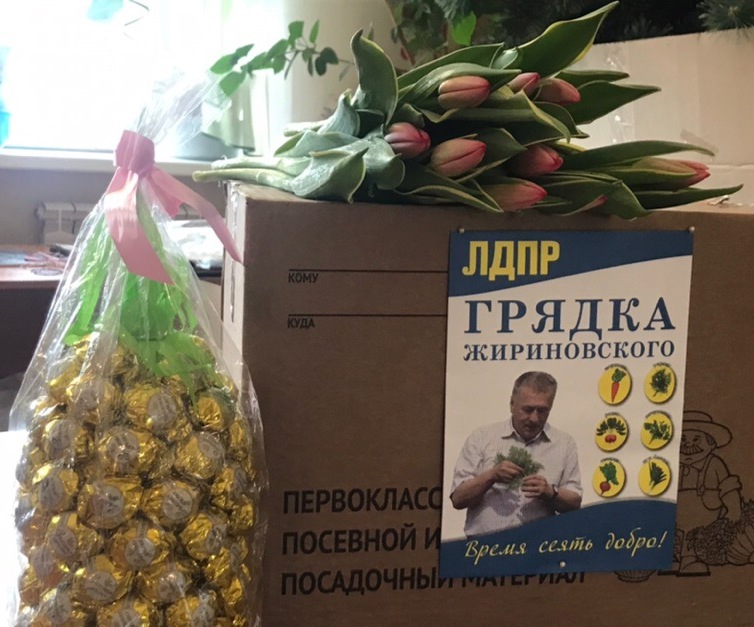 Социальный проект "Грядка Жириновского"!