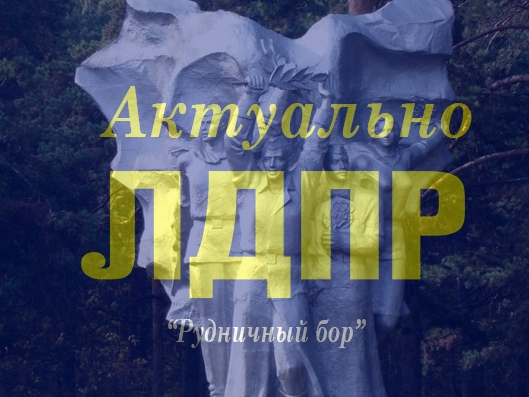Рудничный бор