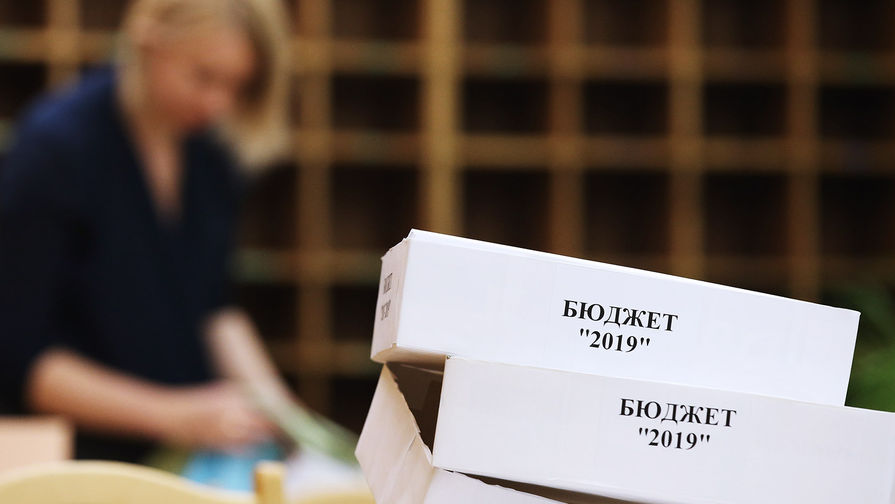 ЛДПР поддержала бюджет 2019