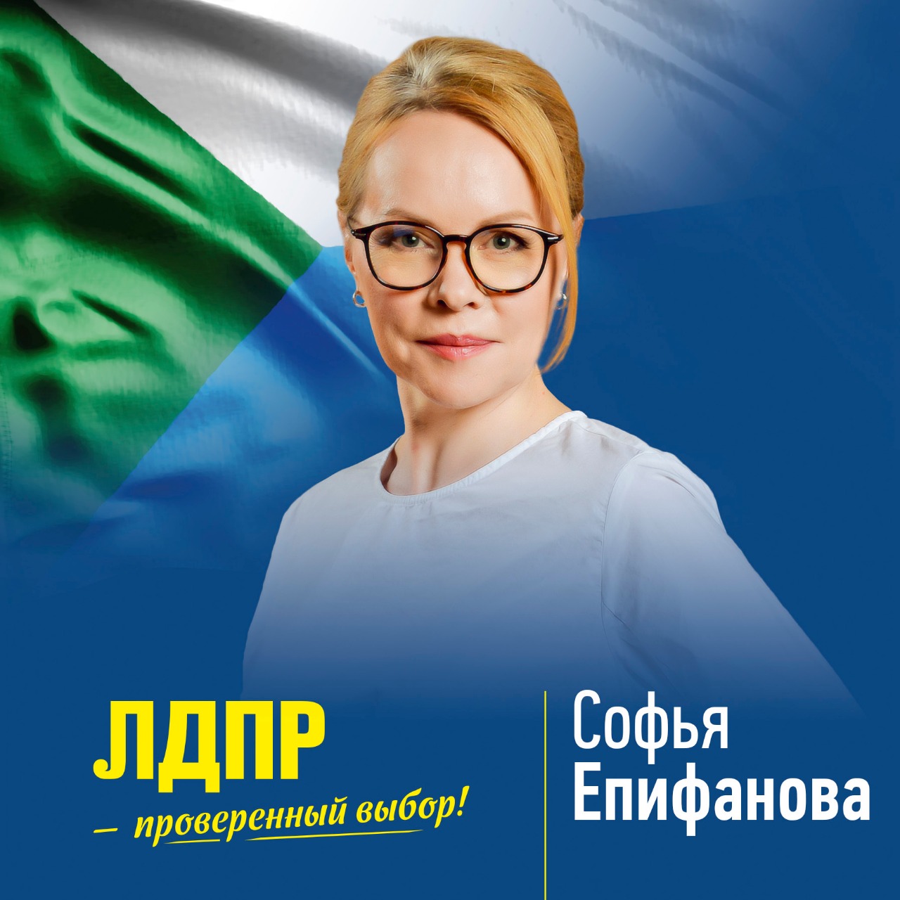 Знакомьтесь, кандидаты от ЛДПР