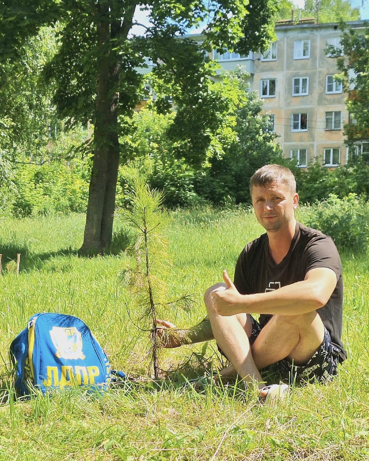 Партиец Александр Васильев посадил кедры в чернореченском сквере в Костроме