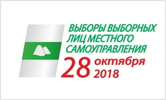 ЛДПР побеждает в выборах на местах