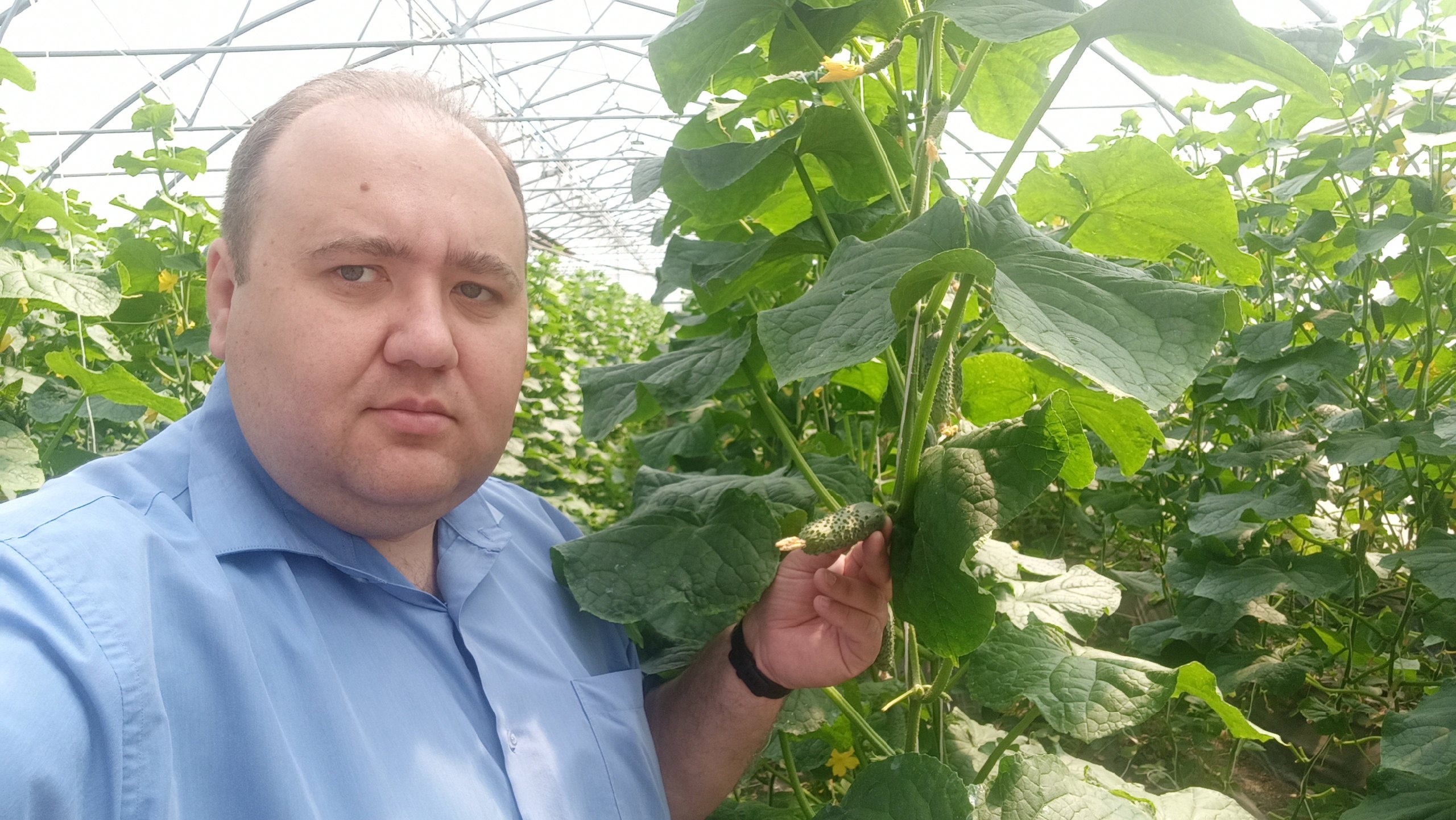 Руководитель фракции ЛДПР в Курской облдуме тесно сотрудничает с сельхозпроизводителями региона