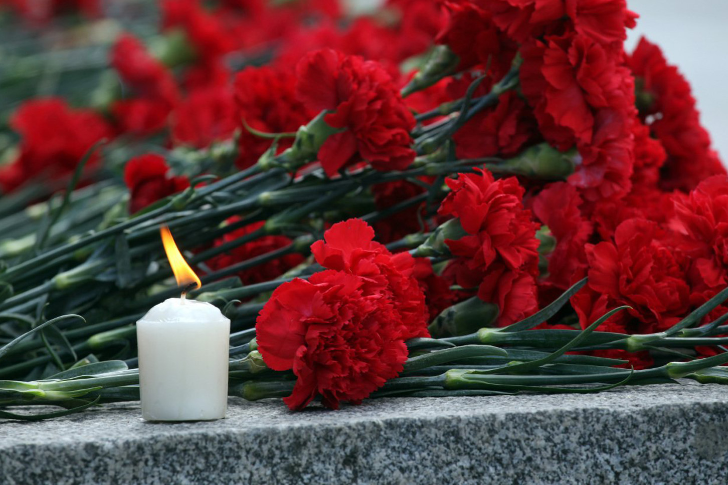Светлая память погибшим в Чечне
