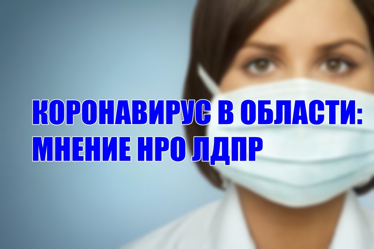 Ситуацию с коронавирусом в Нижегородской области проанализировали представители НРО ЛДПР