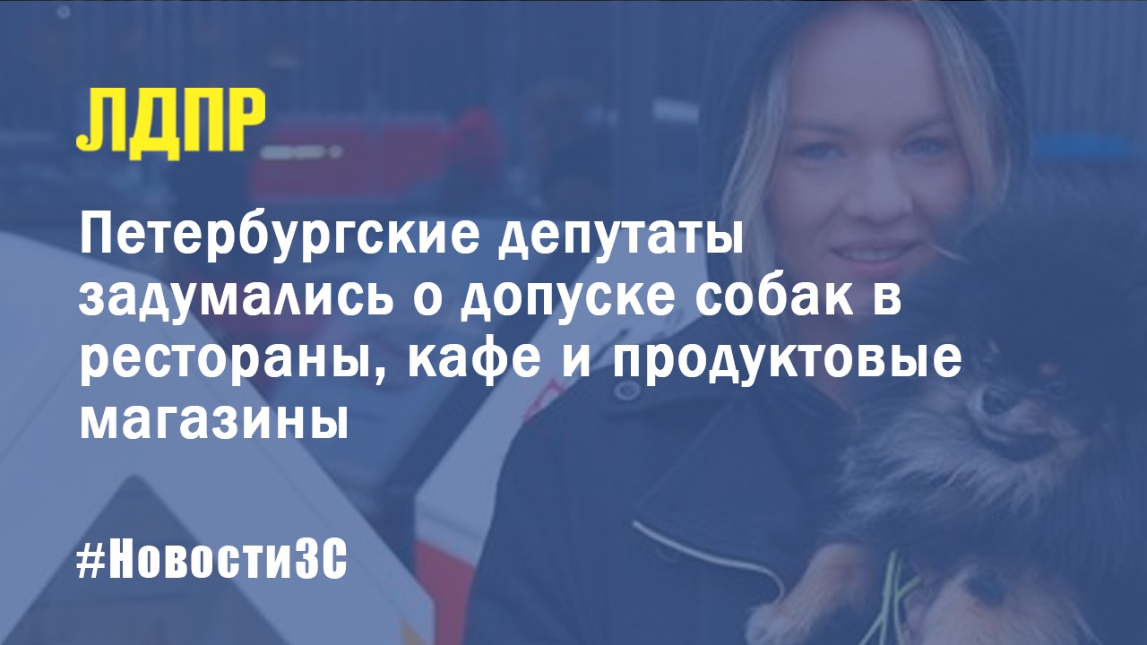Петербургские депутаты задумались о допуске собак в продовольственные магазины и кафе
