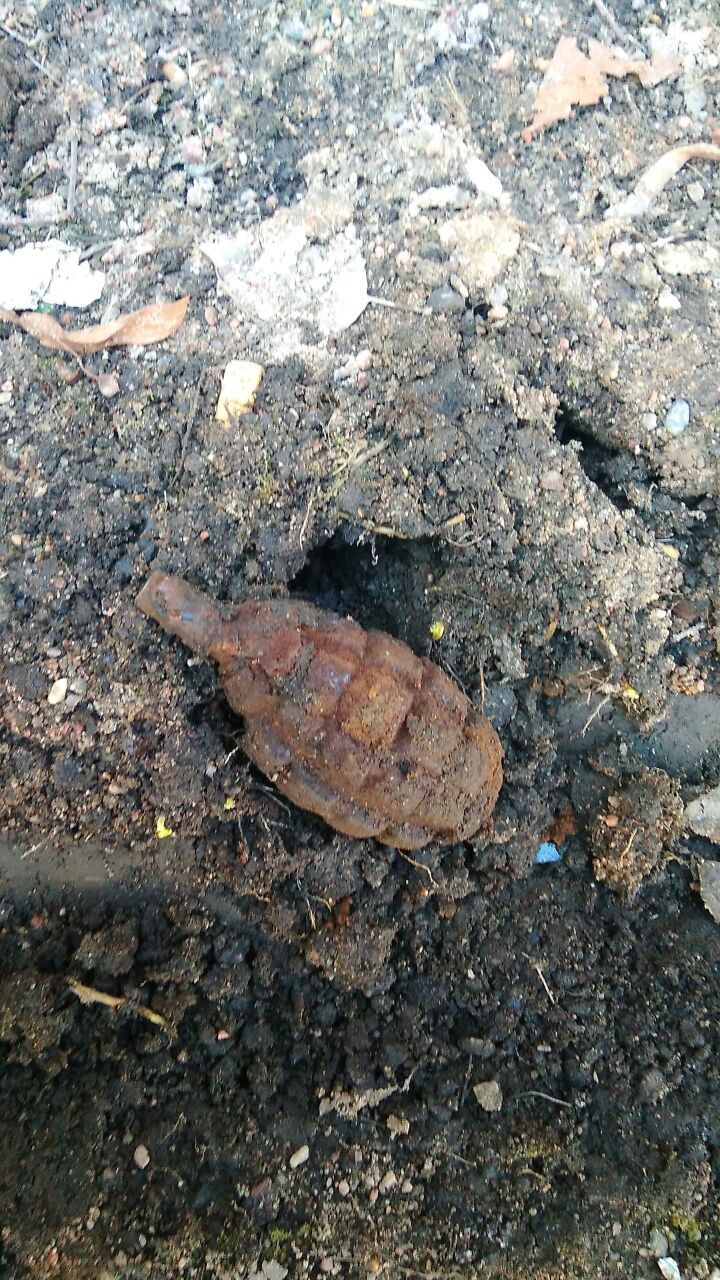 Весеннюю уборку на Бутлерова остановила боевая граната