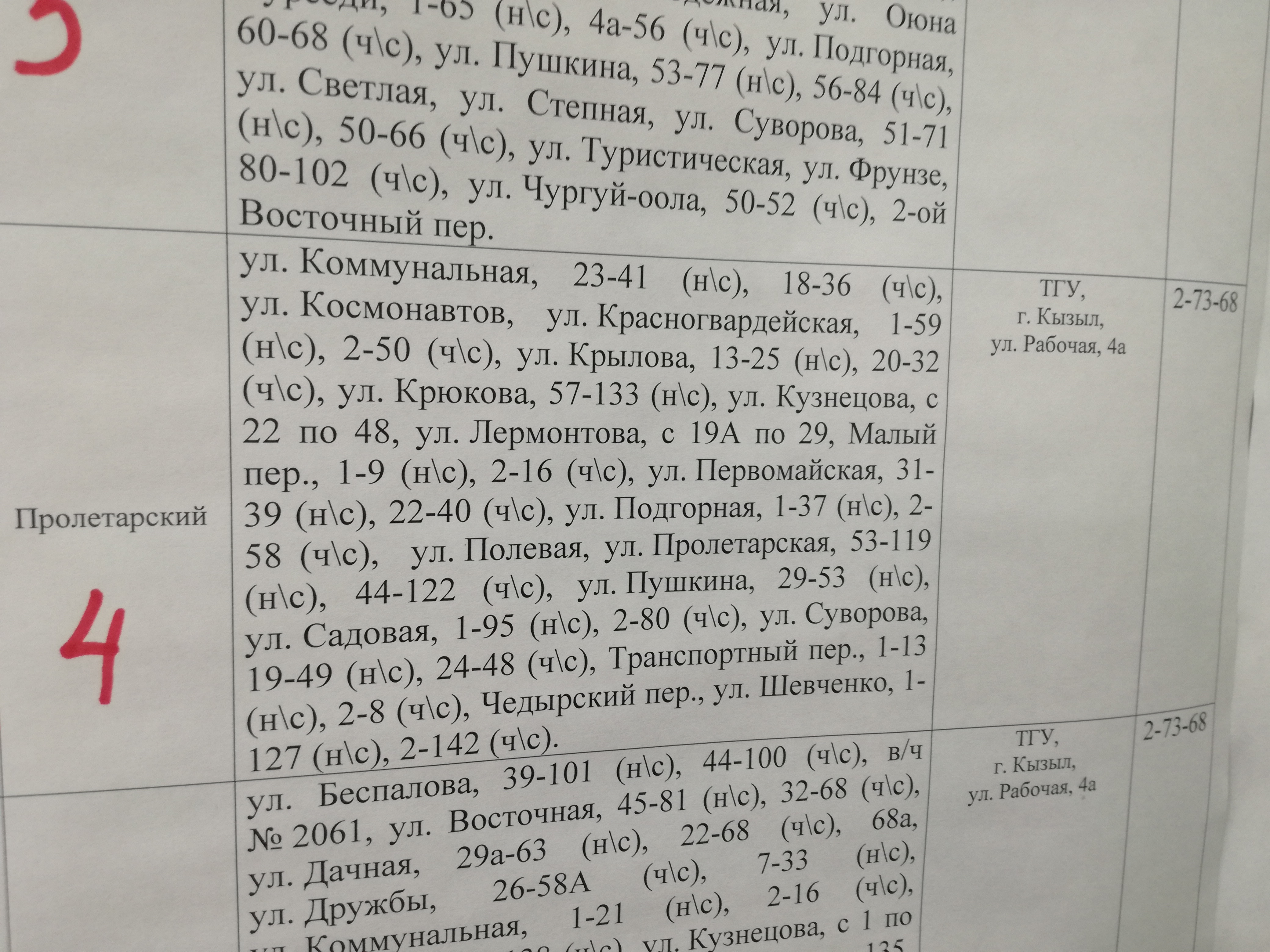 Выборы в г.Кызыле