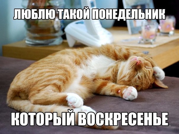 Четыре дня работаем - три отдыхаем