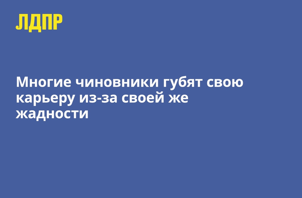 Мнение ЛДПР