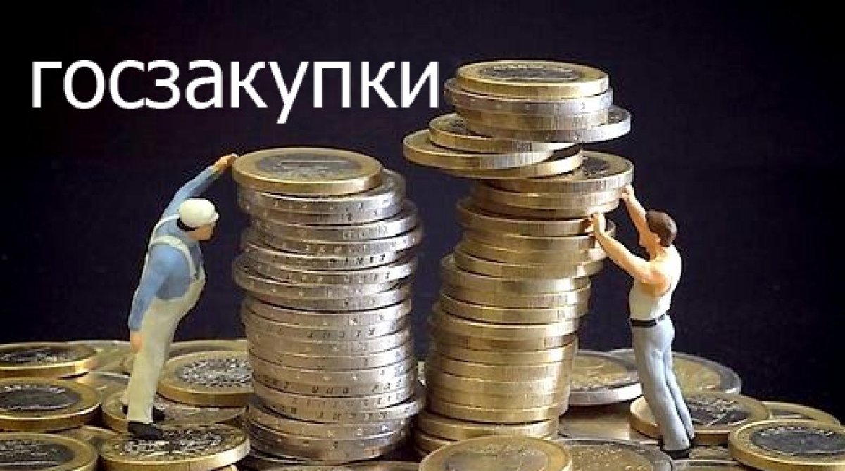 В Госдуме обсуждают закон о госзакупках