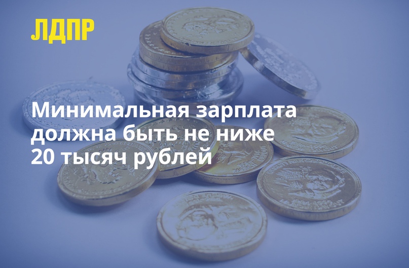 Позиция ЛДПР