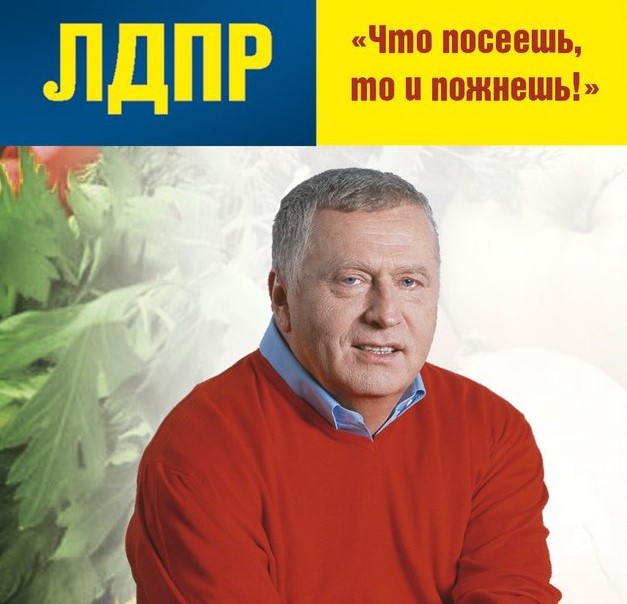 Вологжане идут на «Грядку Жириновского»