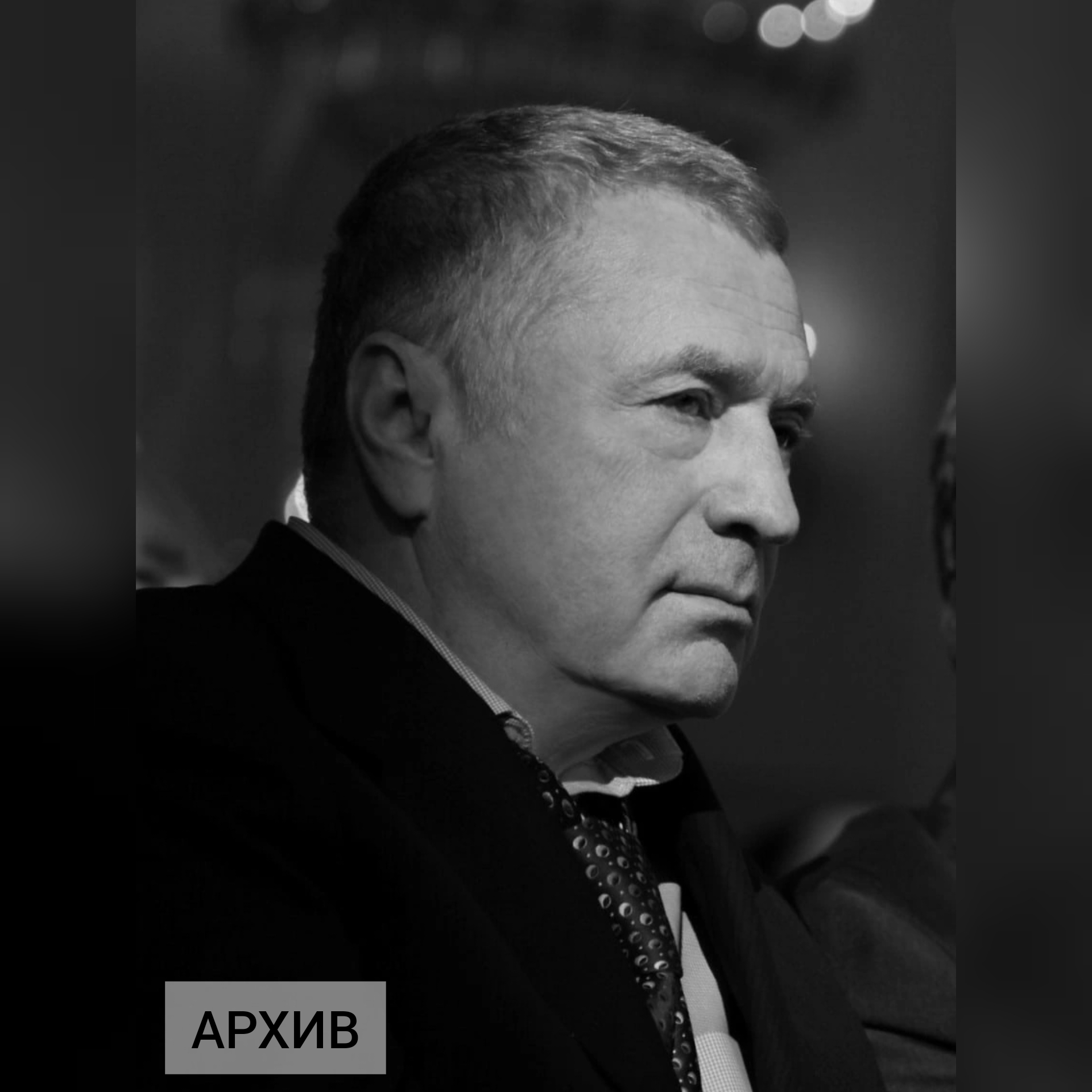 Жириновский картинки с надписями