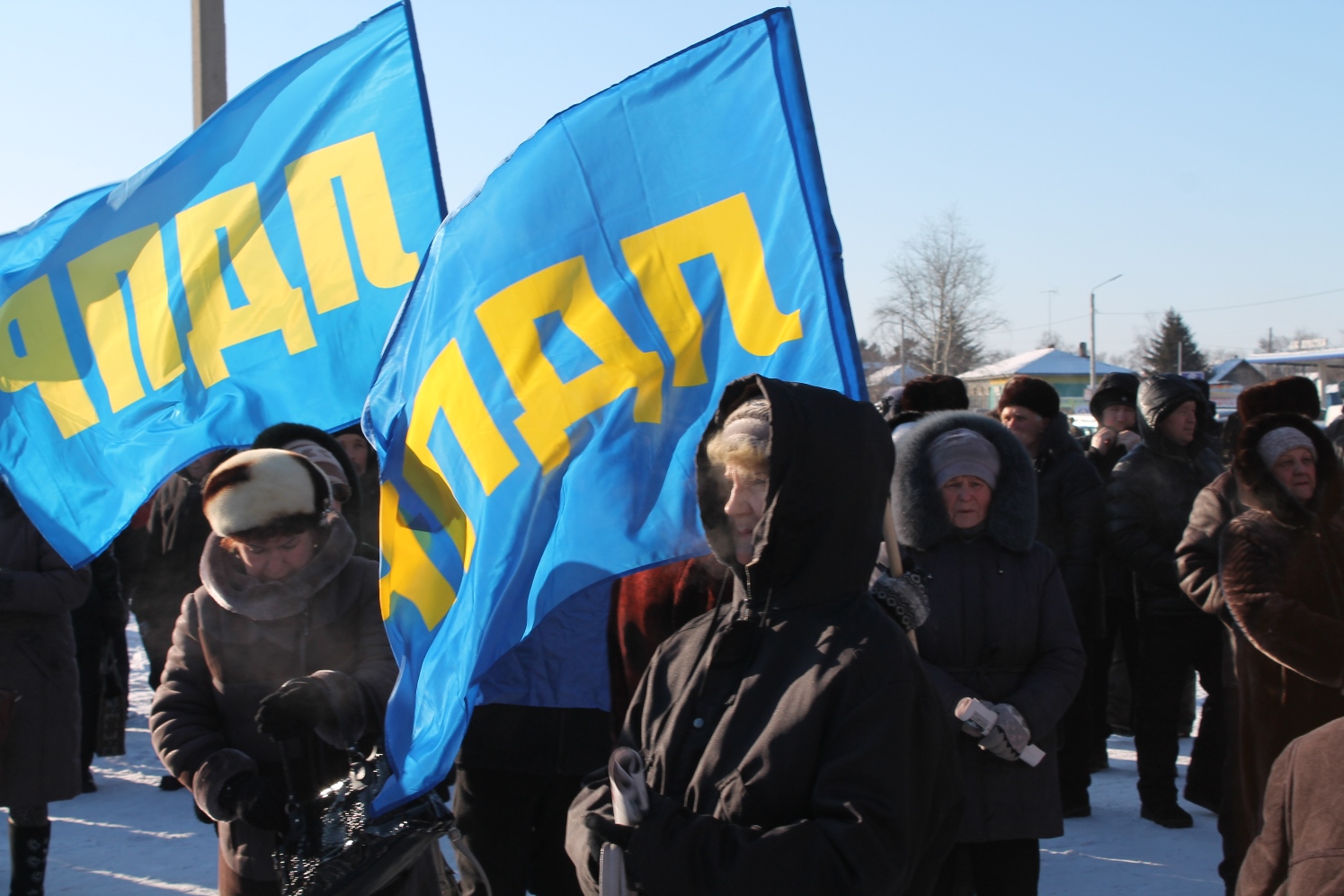 ЛДПР отстояла прямые выборы главы