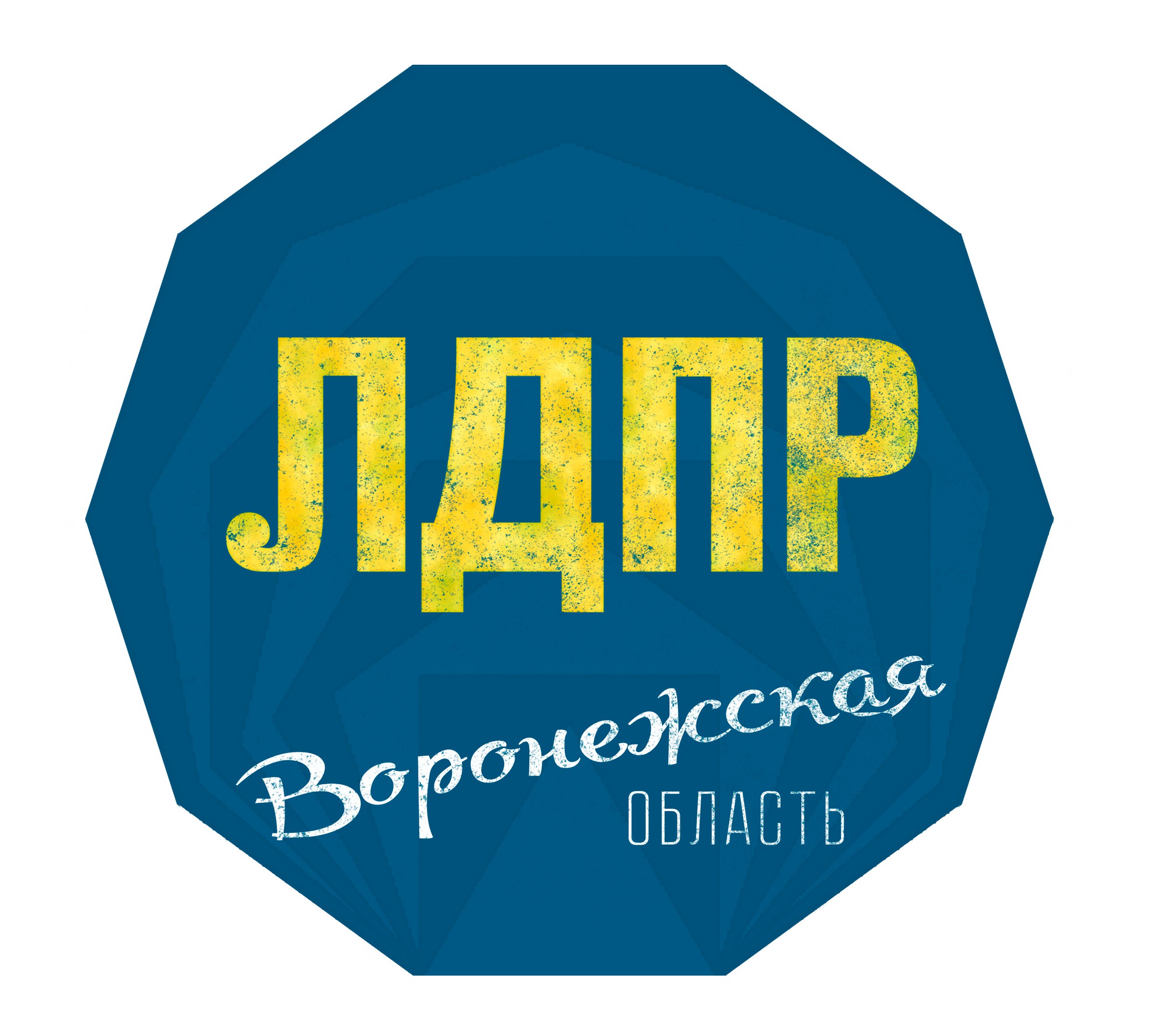 Кандидат в Губернаторы Воронежской области от ЛДПР