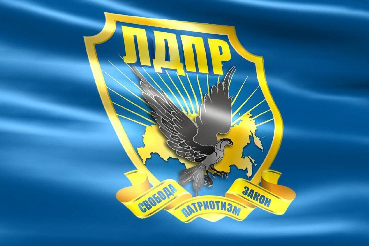 Депутаты ЛДПР против пенсионной реформы
